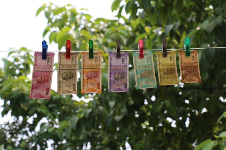 Colorful Indian rupee banknotes pinned and hanging on a clothesline against a green leafy backdrop.